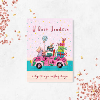 Karnet B6 KOT W AUCIE