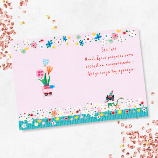 Karnet B6 KOT W AUCIE